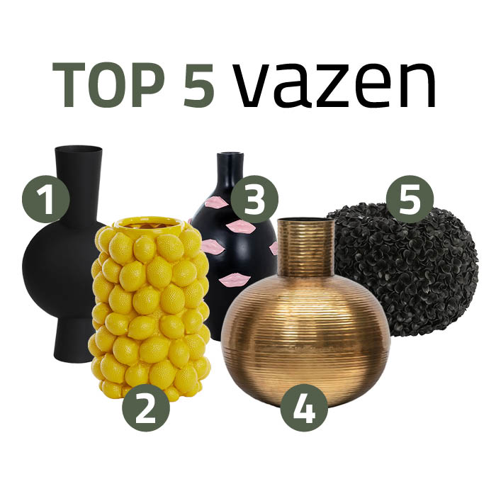 Top 5 vazen