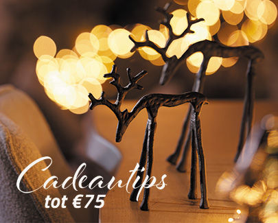 Perfect Gifts tot €75