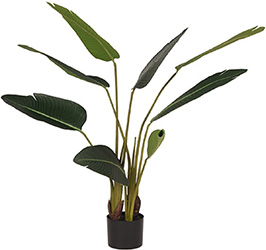 Strelitzia kunstplant